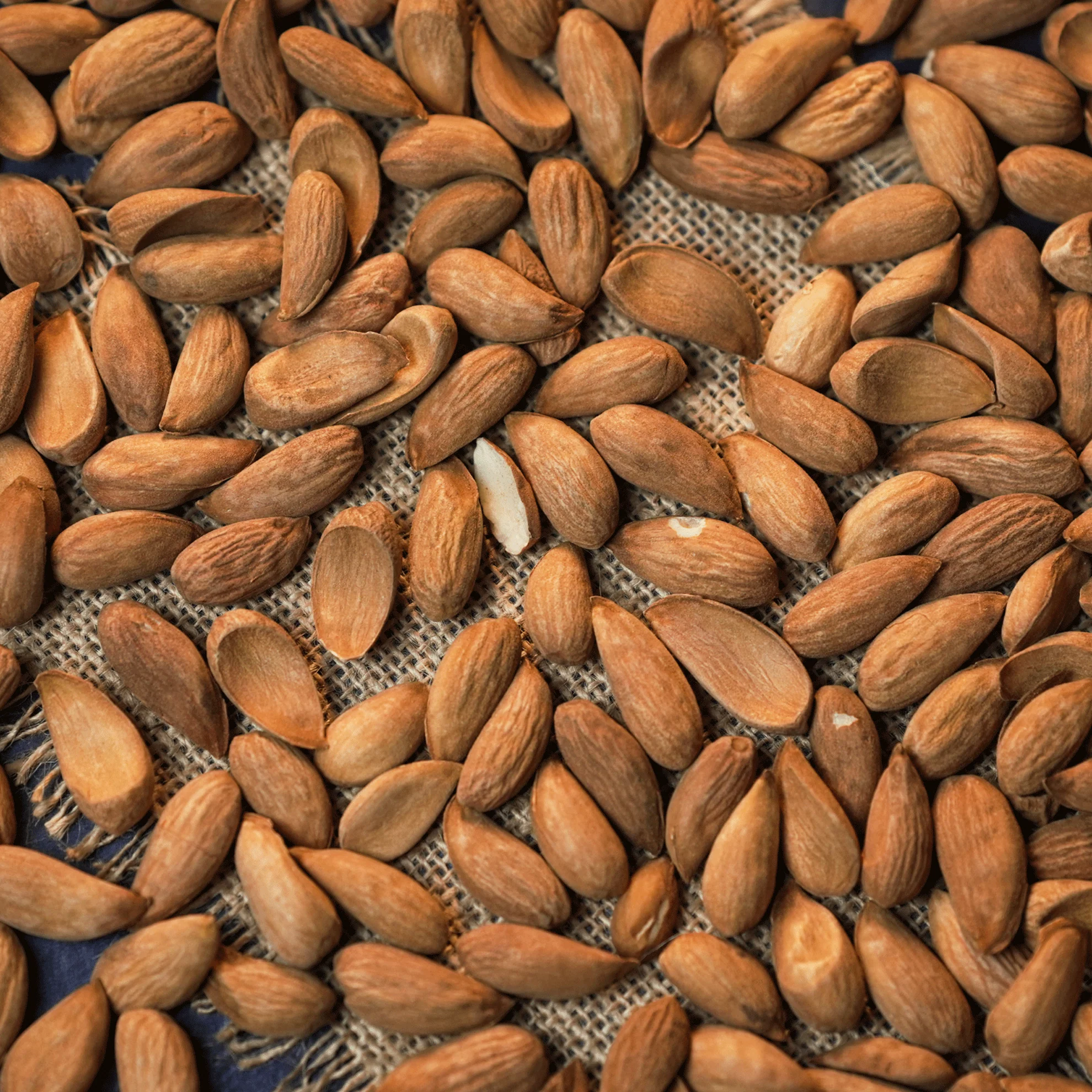 PREMIUM AFGHAN SAKURBAI MAMRA ALMOND (MAMRA GIRI BADAM) - Image 8