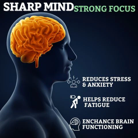 SHILAJIT RESIN FOR ENERGY, FOCUS AND VITALITY – PURE QUALITY AFGHAN SHILAJIT | STRENGTH | STAMINA | POWER | 100% PURE AND NATURAL - Image 7